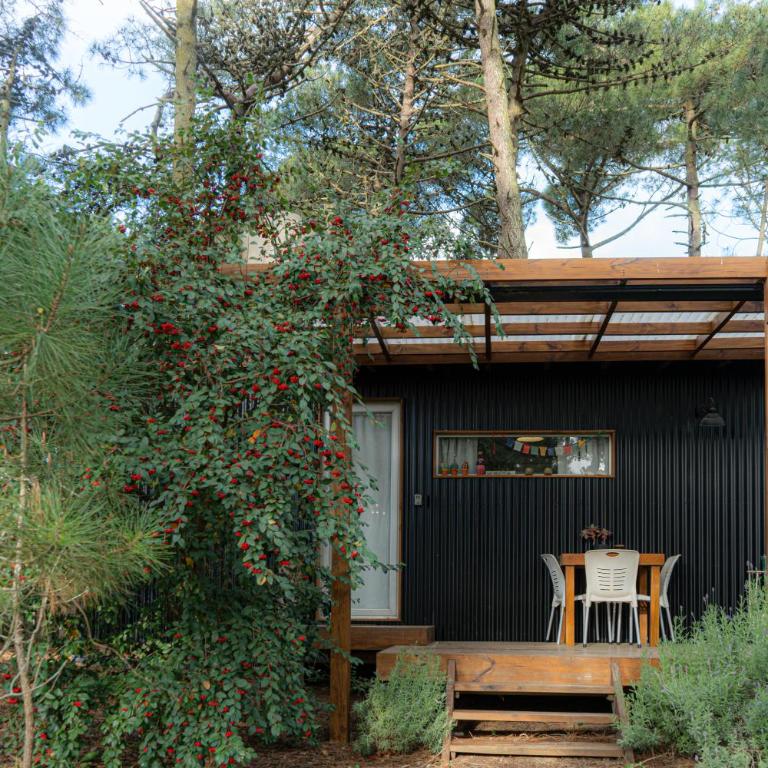 Tiny House Pinamar - One-Bedroom House - 17