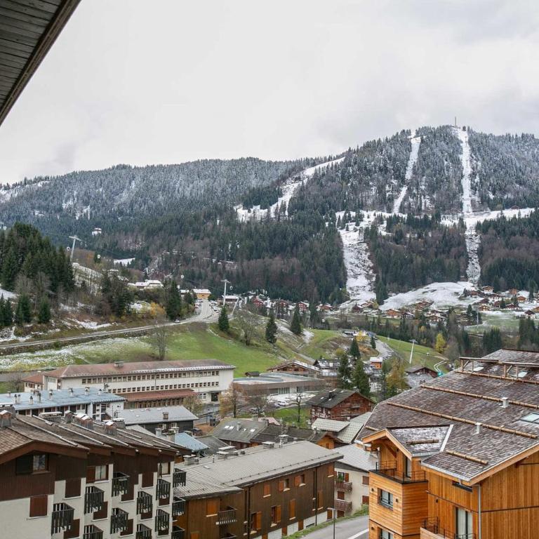 HYPERCENTRE 35 m avec BALCON et VUE des Aravis - Appartement - 15