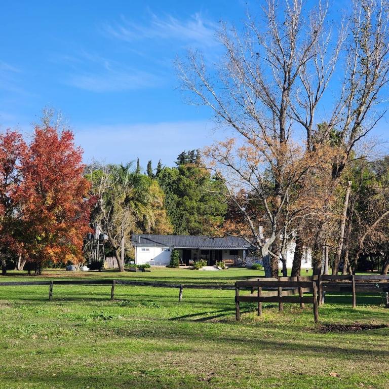Raices de Capilla - Casa de 4 dormitorios - 32