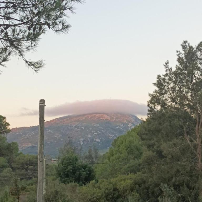 Guardianas del Bosque , Playa Hermosa 4 personas Temporada Alta - Casa de 2 dormitorios - 20