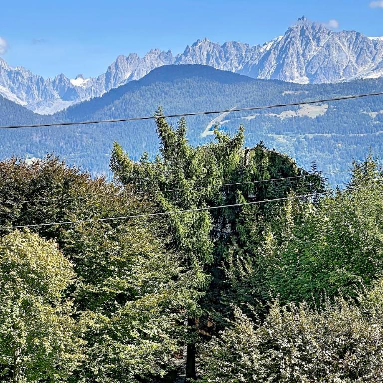 Cosy Studio with Balcony & Mont-Blanc View - Monolocale - 4