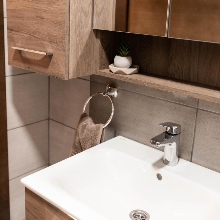 Miani Lux Apartman - Apartman sa 1 Spavaćom Sobom - 16