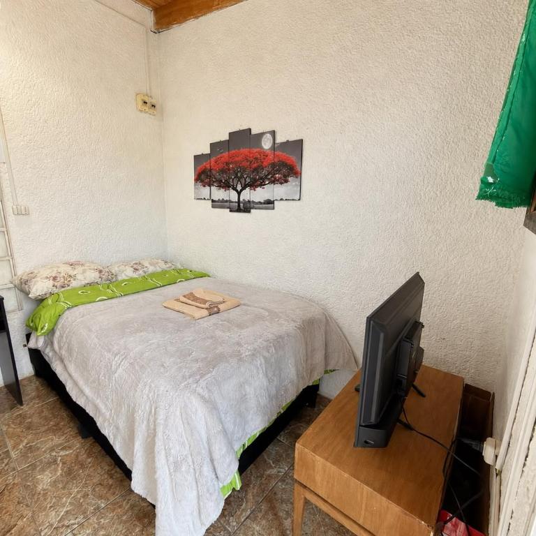 Alojamiento Jacinta en Chuy Aire Y Baño Privado - Apartamento de 1 dormitorio - 5