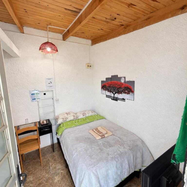 Alojamiento Jacinta en Chuy Aire Y Baño Privado - Apartamento de 1 dormitorio - 1
