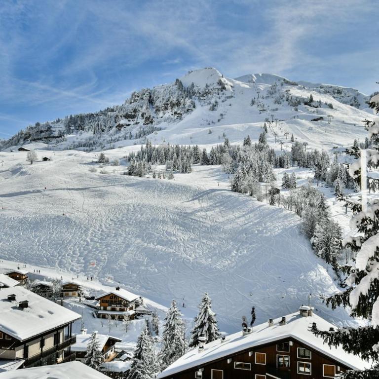Les Chalets des L'Aiguille C002 - Appartement - 19