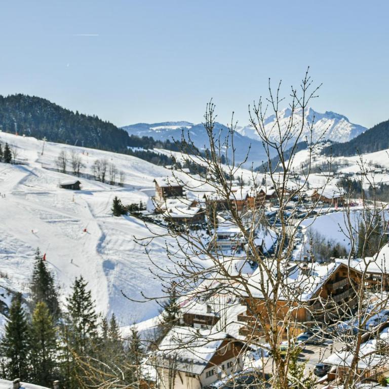 Les Chalets de L'Aiguille C301 - Appartamento - 22