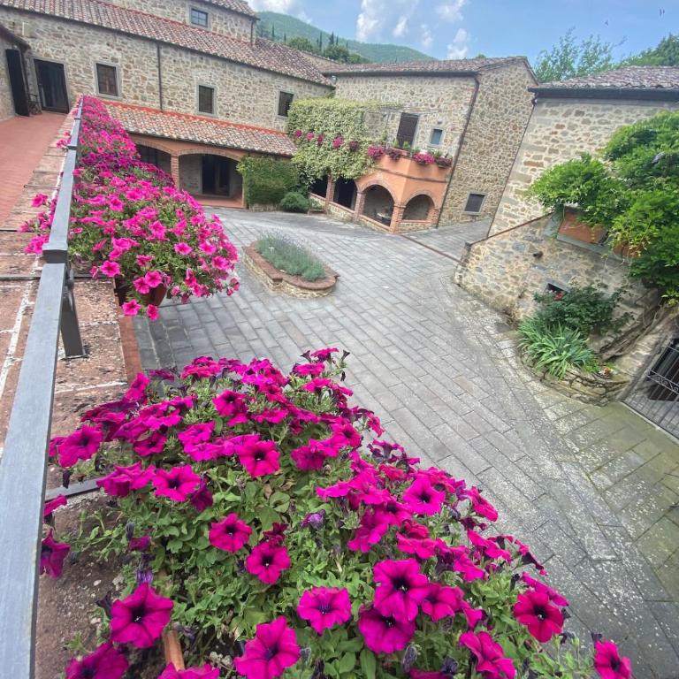 Ancient mill in Cortona - One-Bedroom Apartment - 1