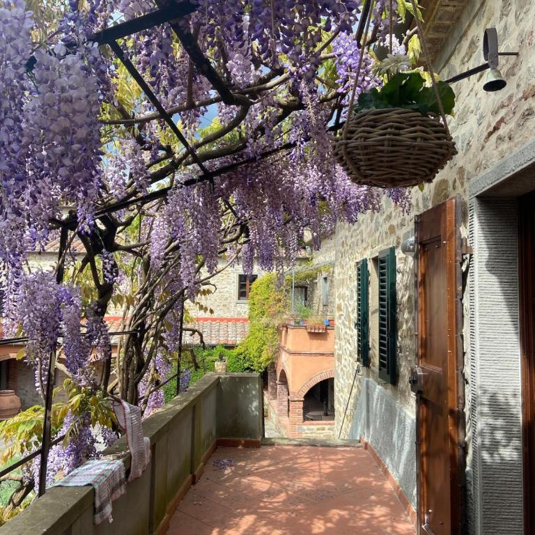 Ancient mill in Cortona - One-Bedroom Apartment - 2