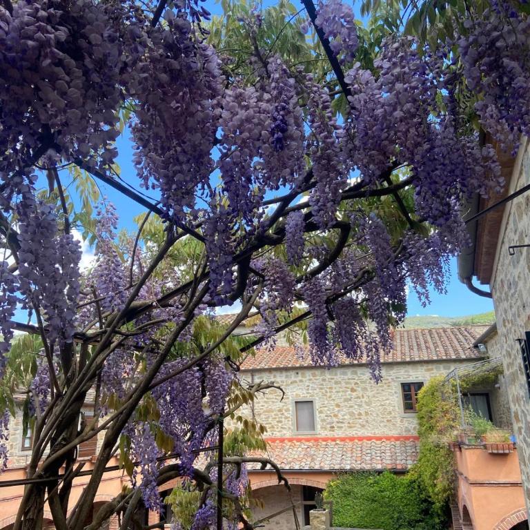 Ancient mill in Cortona - One-Bedroom Apartment - 29