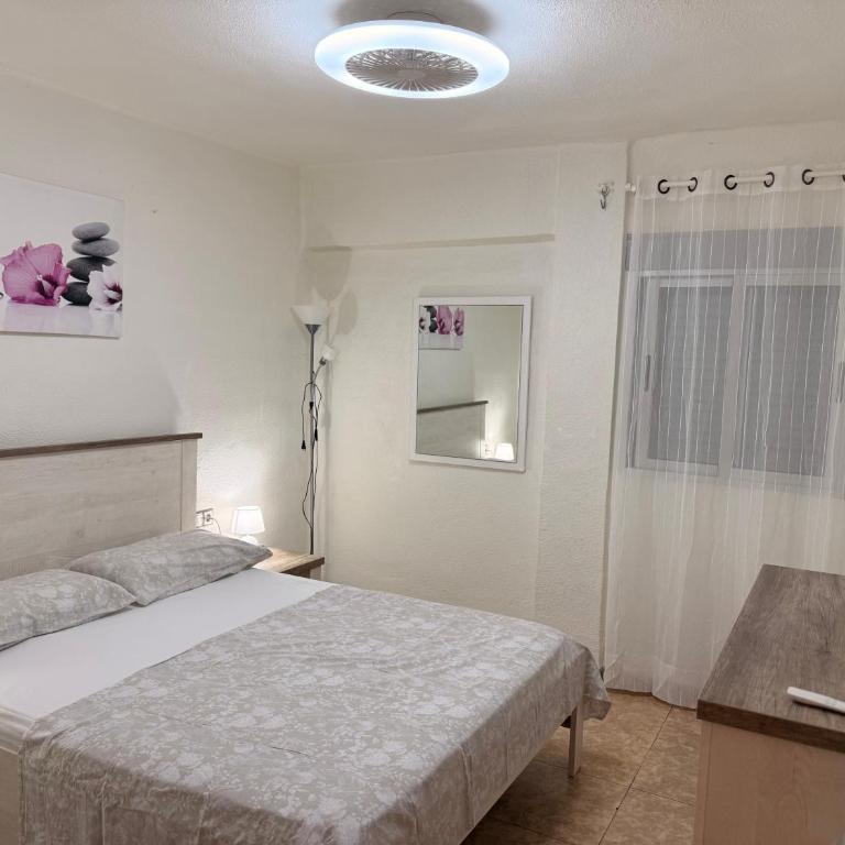 Plaza Sainetero Arniches - Appartamento Standard - 17