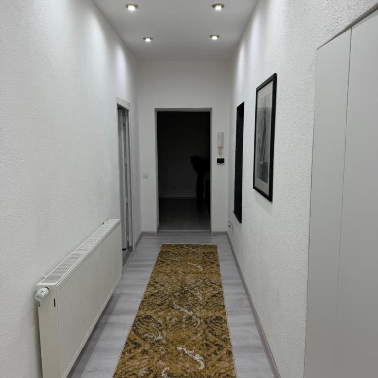 Sarajevo Center & Old Town Apartment - Apartman sa 1 Spavaćom Sobom - 4