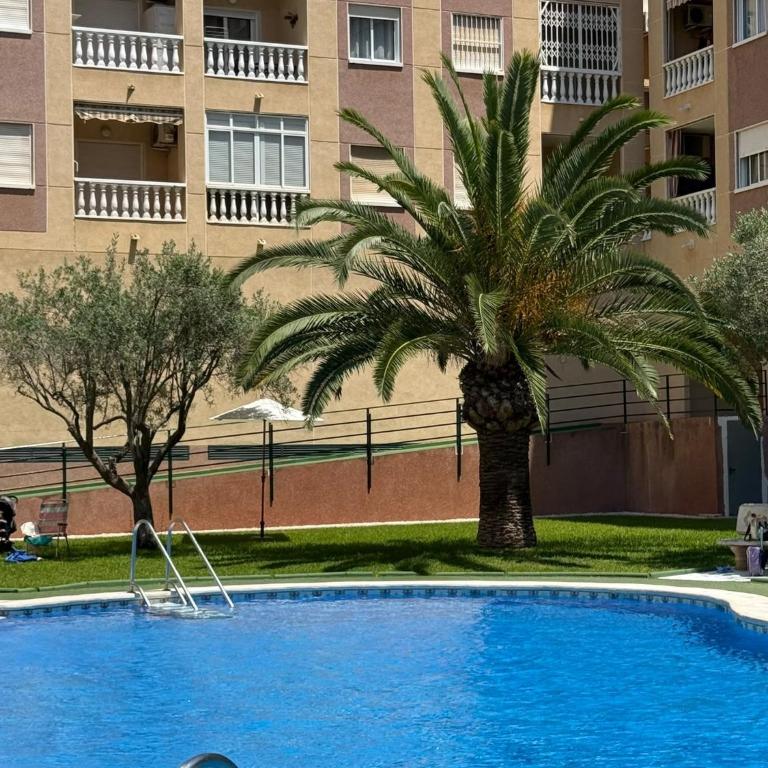 112 Nice Pool Relax - Alicante Holiday - Appartamento con Vista Piscina - 35