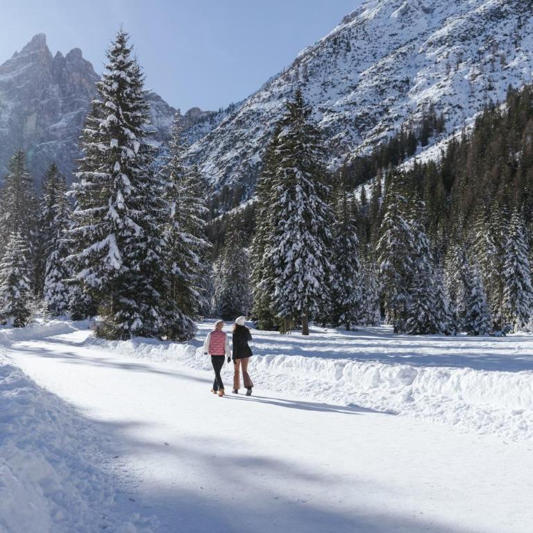 Winterstimmung in Meran - Studio Anna - Ideal für Paare - Meran Zentrum - Restaurants Cafés & Altstadt bequem zu Fuß - Privatparkplatz - Bahnhof & Skibus 4 Min - Südtirol Guest Pass inklusive - Apartamento de 1 dormitorio - 37