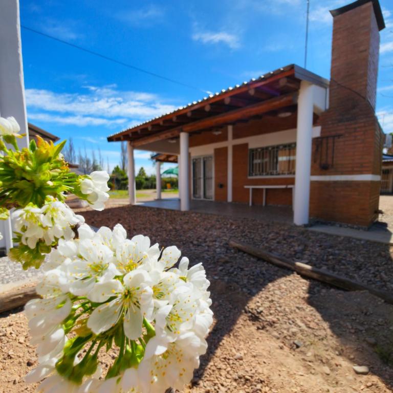 Complejo Sarmiento - Two-Bedroom Apartment - 22