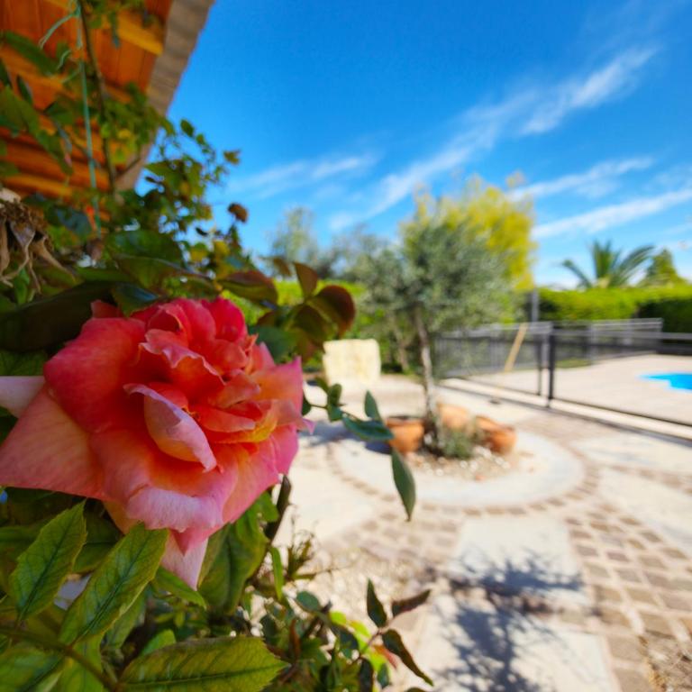 Complejo Sarmiento - Two-Bedroom Apartment - 7