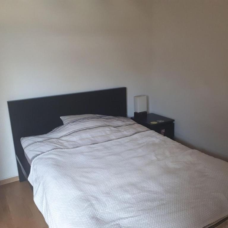 Magnolia Bluff Estate - Apartment mit 1 Schlafzimmer - 2