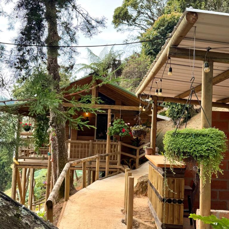 Cabañas Nido en el bosque - Apartamento de 1 dormitorio - 4
