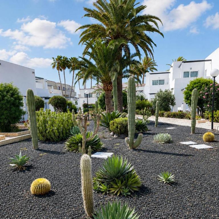 Alisio Living Corralejo - Apartamento de 2 dormitorios - 20