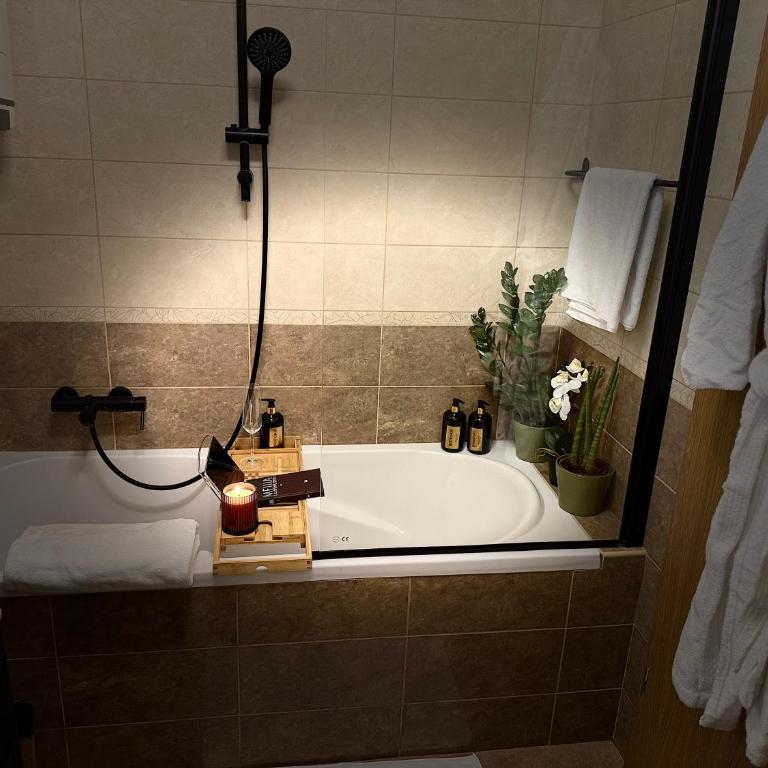 Aleja Dua - Apartman sa 1 Spavaćom Sobom - 21