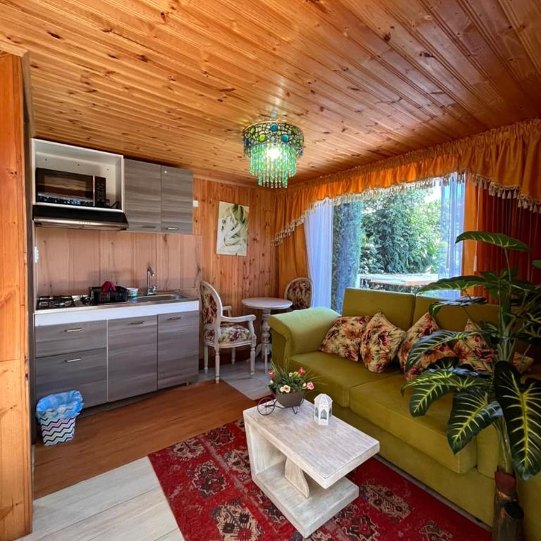 Villa Evelia - Apartamento con vistas al lago - 3