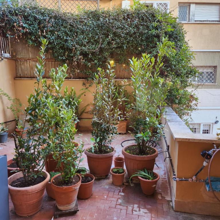 Maison San Pio - Studio-Apartment mit 1 Doppelbett - 3