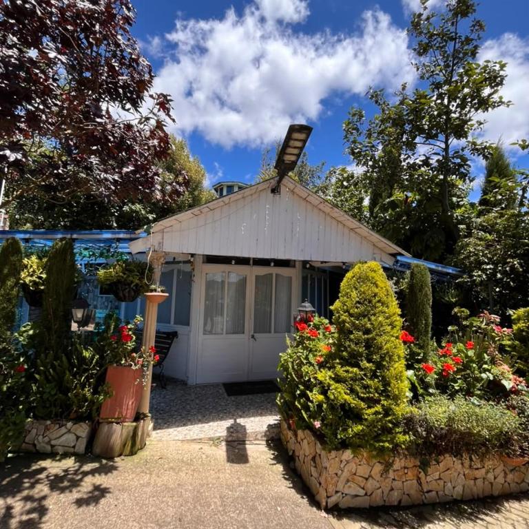 Villa Evelia - Chalet - 5