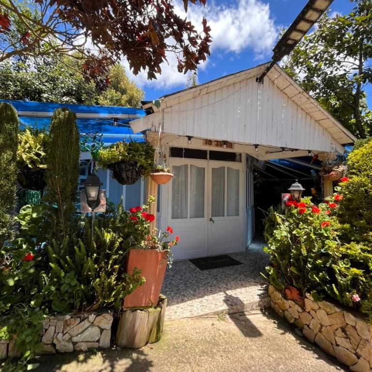 Villa Evelia - Chalet - 3