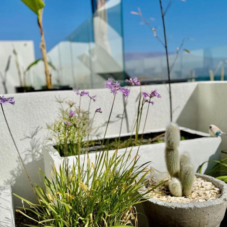 Ocean view, infinity pool, free parking - Apartamento de 2 dormitorios con balcón y vistas al mar - 21