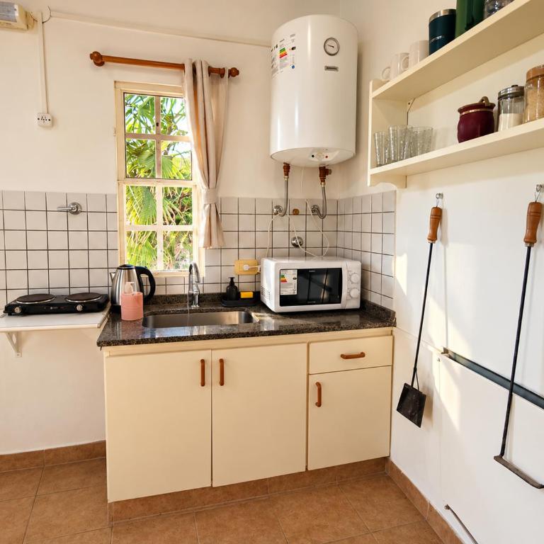 Lula Apart - Apartamento de 2 dormitorios - 2