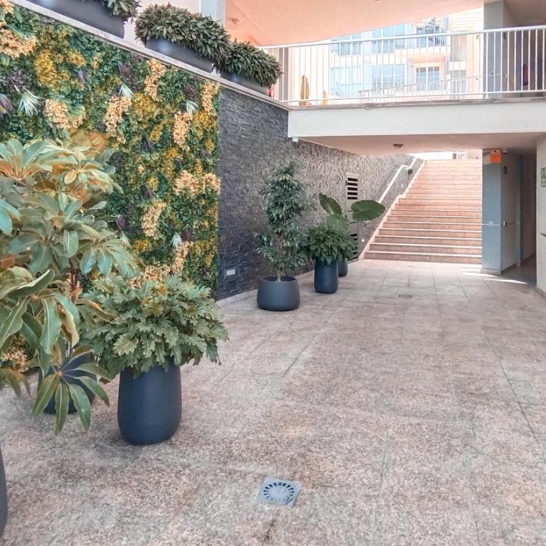 Sunset Lua Beach - Apartment mit 1 Schlafzimmer, Balkon und Meerblick - 7