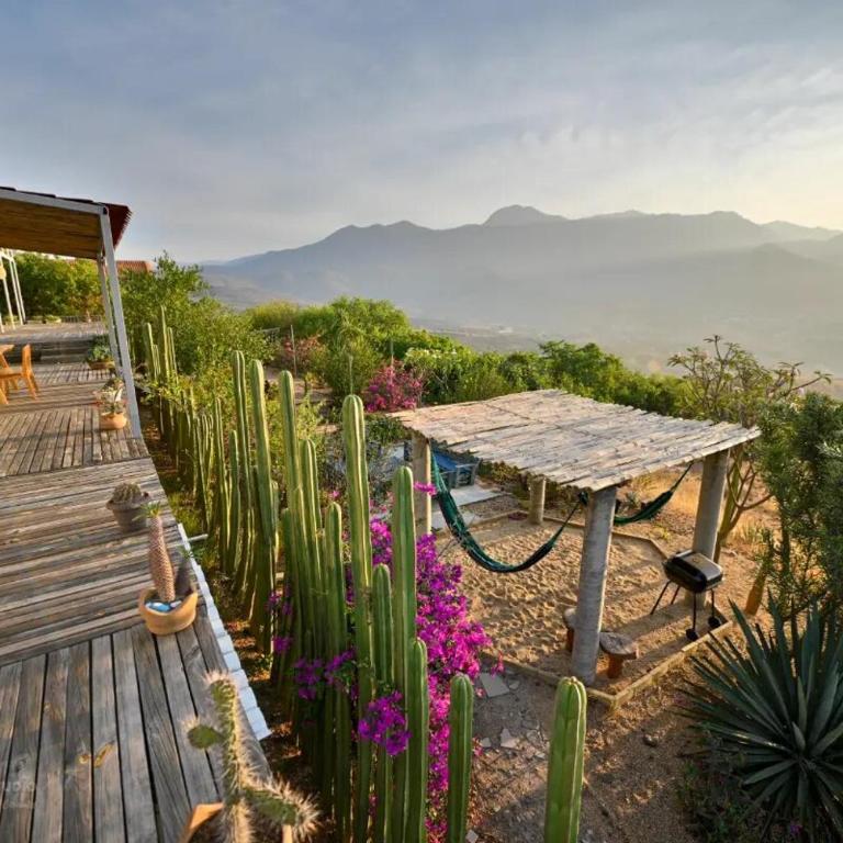 Utopia Casas Boutique - Villa Superior - 10