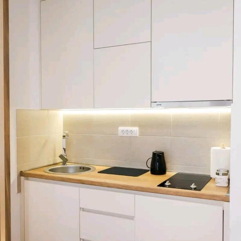 Apartman FILIP - Apartman sa 1 Spavaćom Sobom - 8