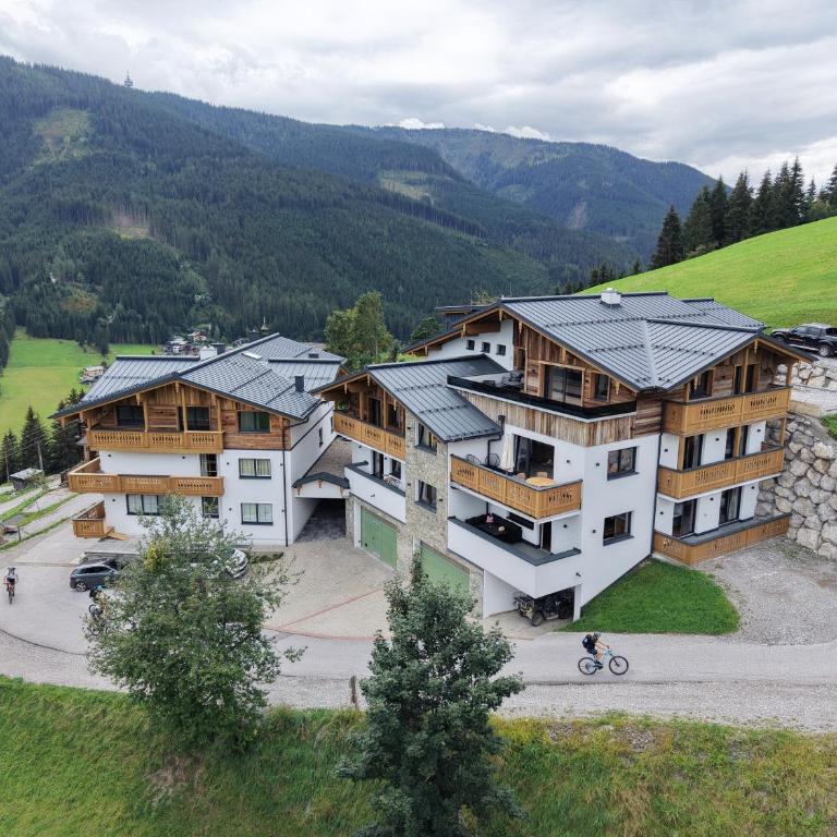 Kleinberg Chalet - Apartment - 3