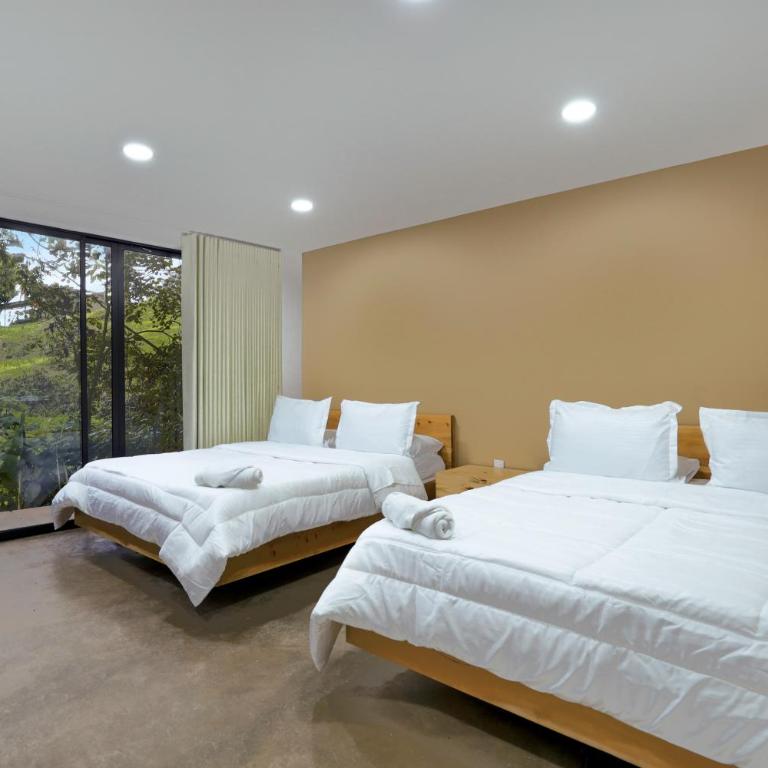 Satori Home In San Lucas - Vacation Home - 54
