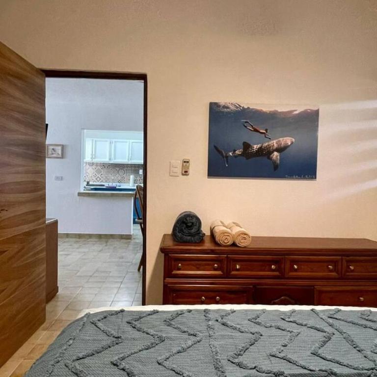 Casita Caracol, zona centro de La Paz - Casa - 14