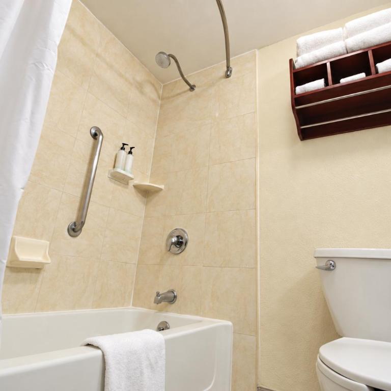Hampton Inn by Hilton Guadalajara-Aeropuerto - Nichtraucherzimmer mit 2 Queensize-Betten - 4