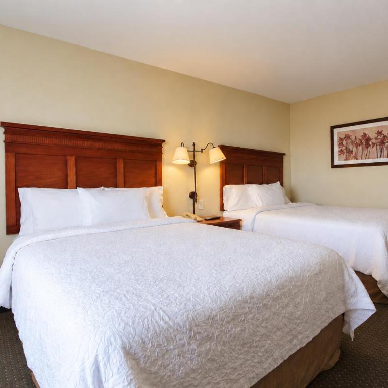 Hampton Inn by Hilton Guadalajara-Aeropuerto - Nichtraucherzimmer mit 2 Queensize-Betten - 5