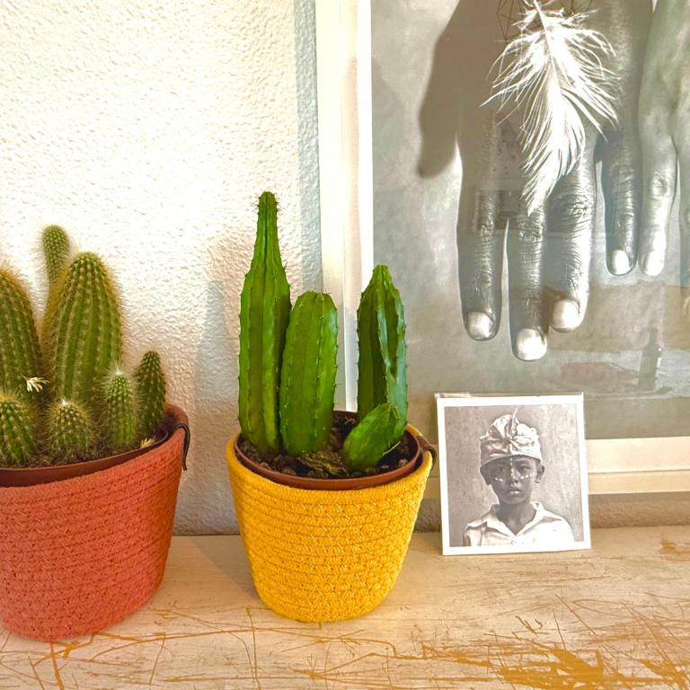 Charming & cosy beach apartment - Apartamento de 2 dormitorios - 23