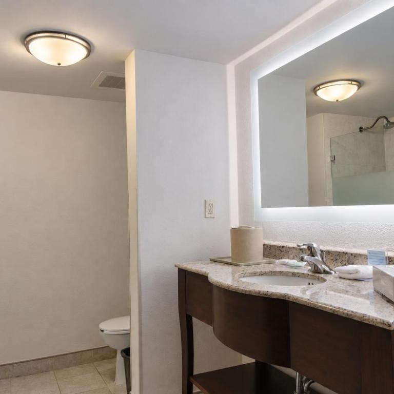 Hampton Inn by Hilton Guadalajara-Aeropuerto - Zimmer mit Kingsize-Bett - Nichtraucher - 10