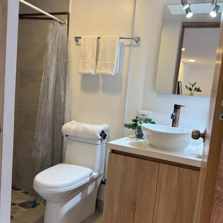 Bright King Studio ,Two blocks from Parque 93 - Estudio Deluxe con cama grande - 12
