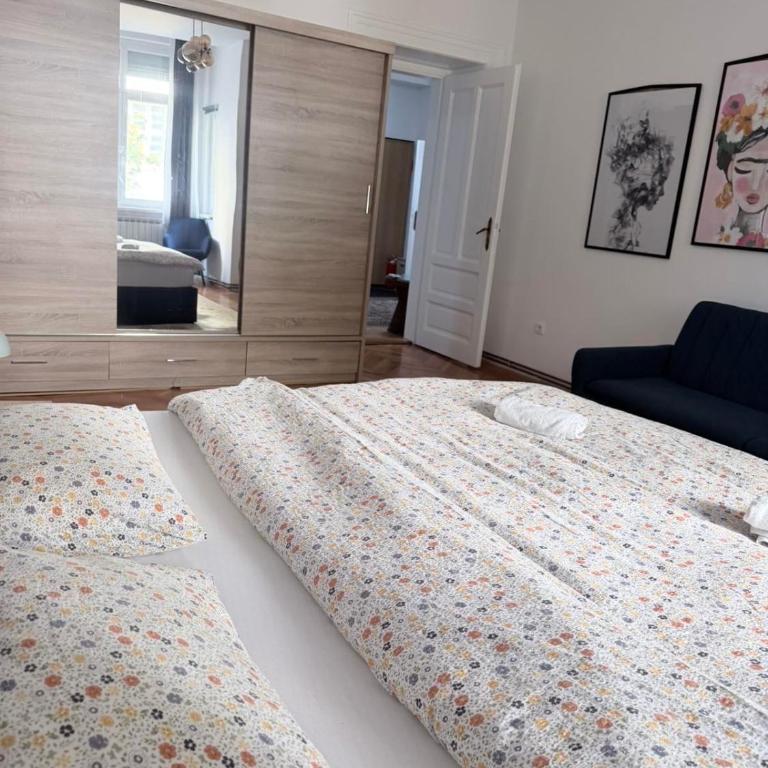 The Green Place in the City Center- Free Parking - Apartman sa 2 Spavaće Sobe i Pogledom na Grad - 13