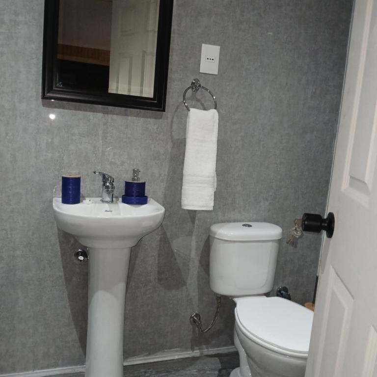 cabañas ruta sur - One-Bedroom Apartment - 10