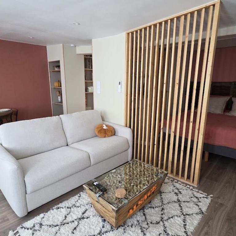 Le Cocon Alsacien - Appartamento con 1 Camera da Letto - 1