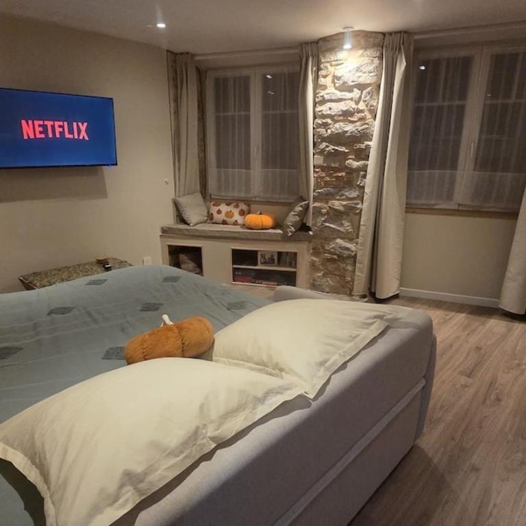 Le Cocon Alsacien - Appartamento con 1 Camera da Letto - 20
