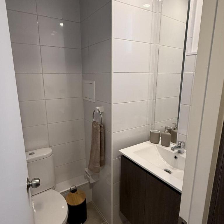 Centro Histórico con aire acondicionado y estacionamiento - Two-Bedroom Apartment - 12