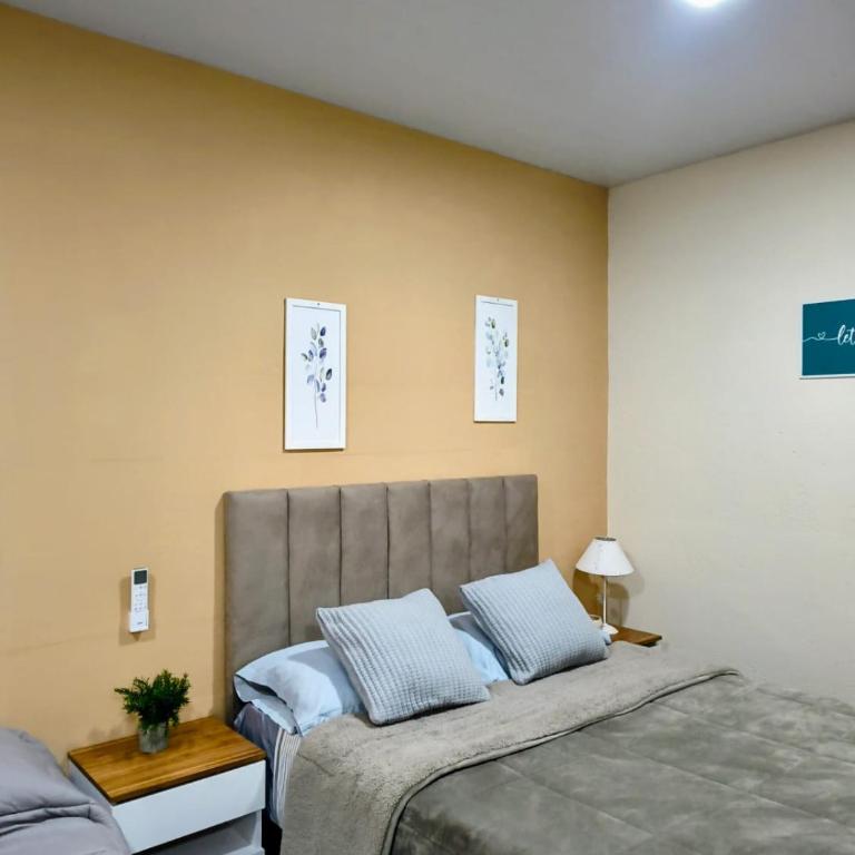 Alojamiento los Alerces - Loft - 1