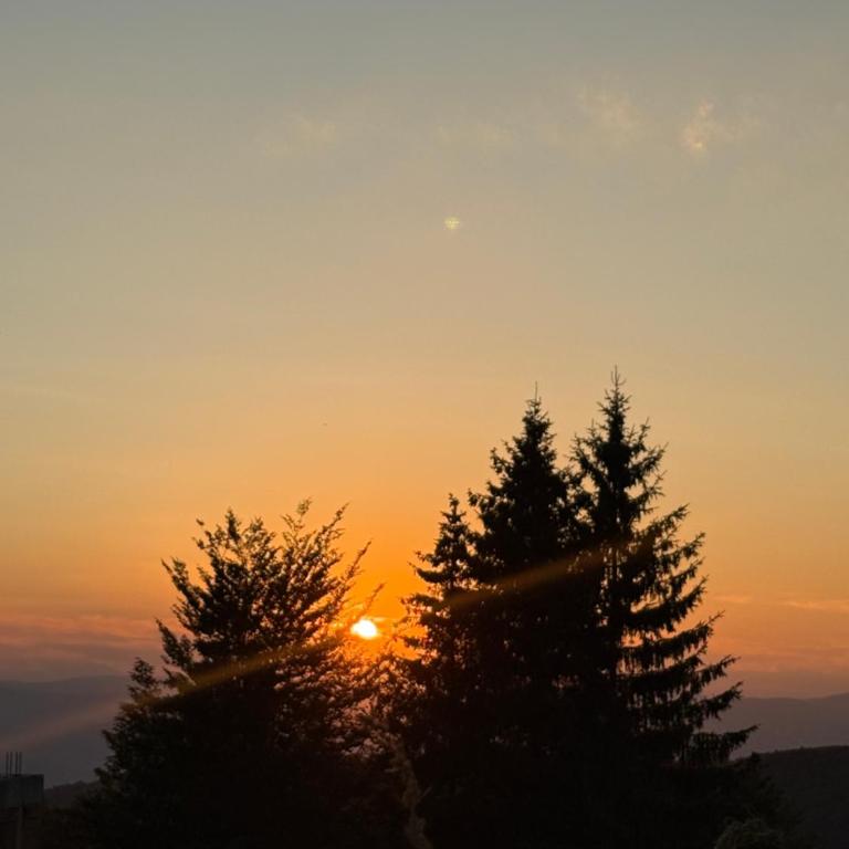 Velvet Kopaonik - One-Bedroom Apartment - 20