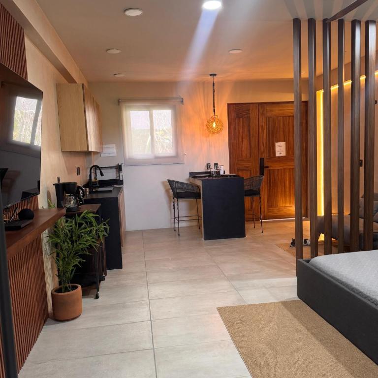 Xiib Kaab Estudio con Jacuzzi - Apartment mit 1 Schlafzimmer - 8