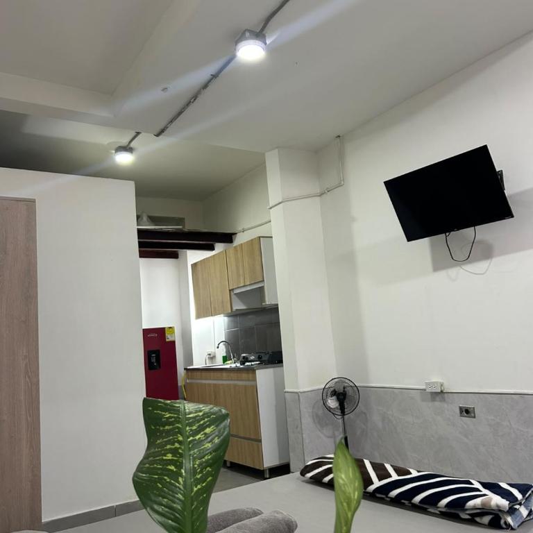 Hostal CasaBlanca, Laureles Estadio - Apartment with Garden View - 8