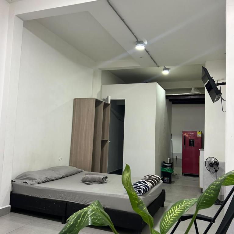 Hostal CasaBlanca, Laureles Estadio - Apartment with Garden View - 10